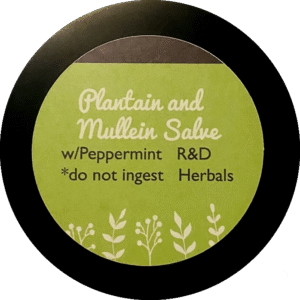 Plantain & Mullein First Aid Salve